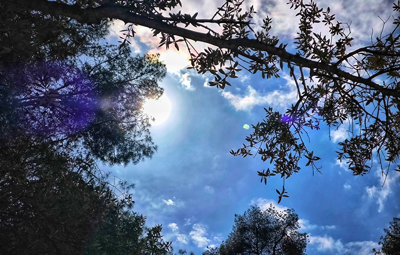 Ηλιοφάνεια και ελαφρά άνοδος της θερμοκρασίας σήμερα – Πώς θα μεταβληθεί το καιρικό σκηνικό τις επόμενες 24 ώρες