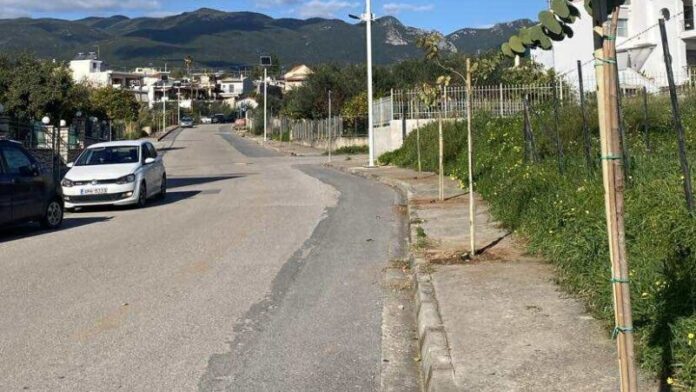Ο Δήμος Καλαμάτας εντείνει τις δενδροφυτεύσεις