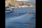 Με ευλάβεια και έντονη κατάνυξη γιορτάστηκαν τα Θεοφάνεια στο Καστελλόριζο