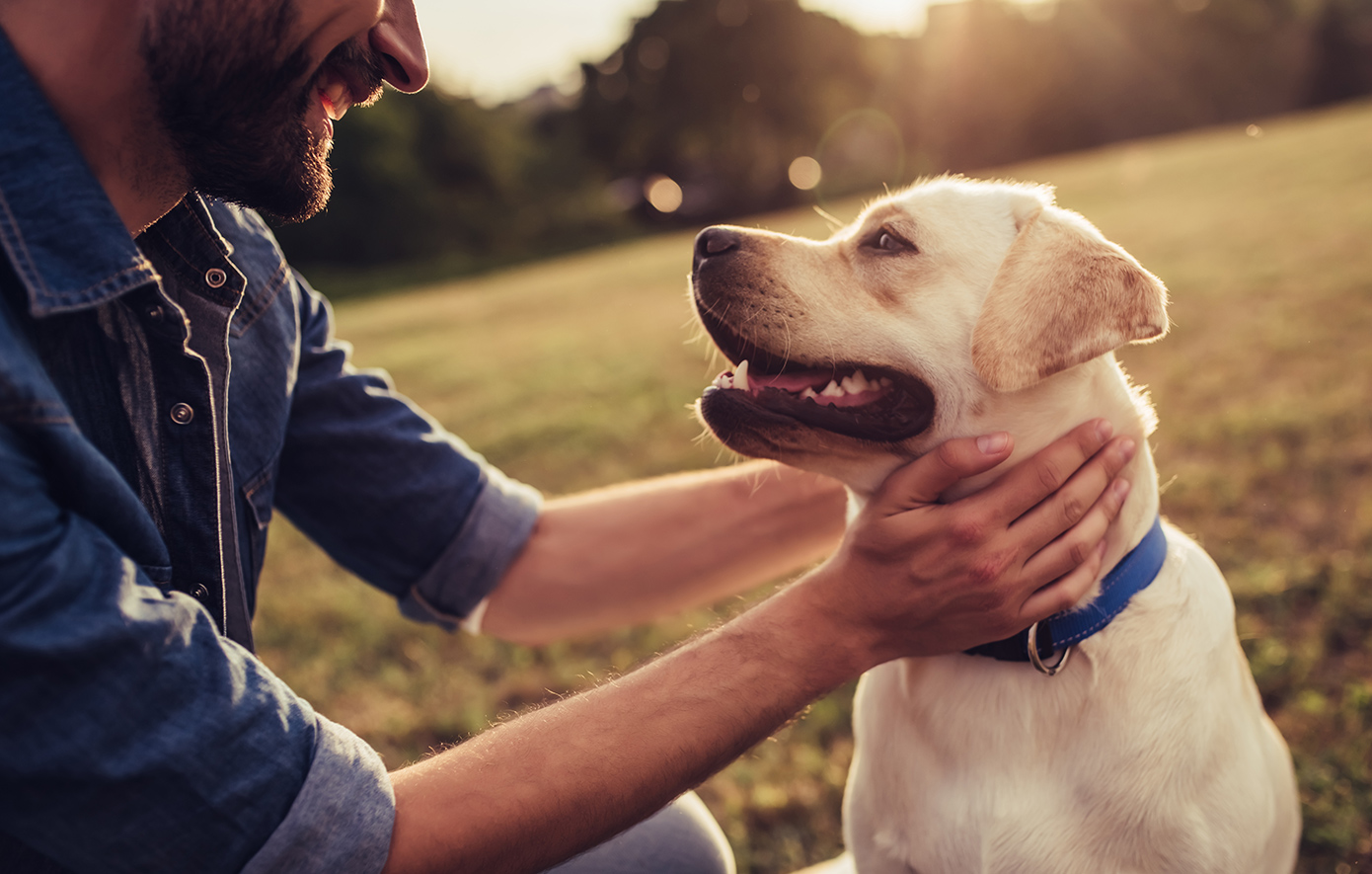 Όταν η τεχνογνωσία συναντά την αγάπη: Νέα ζωή για ζώα με αναπηρία – «Έχουμε διασώσει πάνω από 3.000»