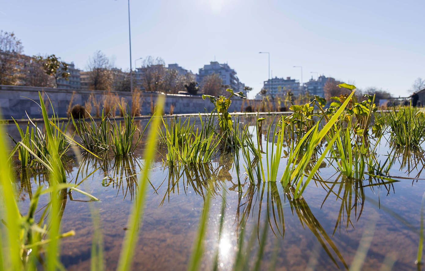 Ολοκληρώθηκε ο ανανεωμένος Ιαπωνικός Κήπος του Νερού στη Νέα Παραλία Θεσσαλονίκης