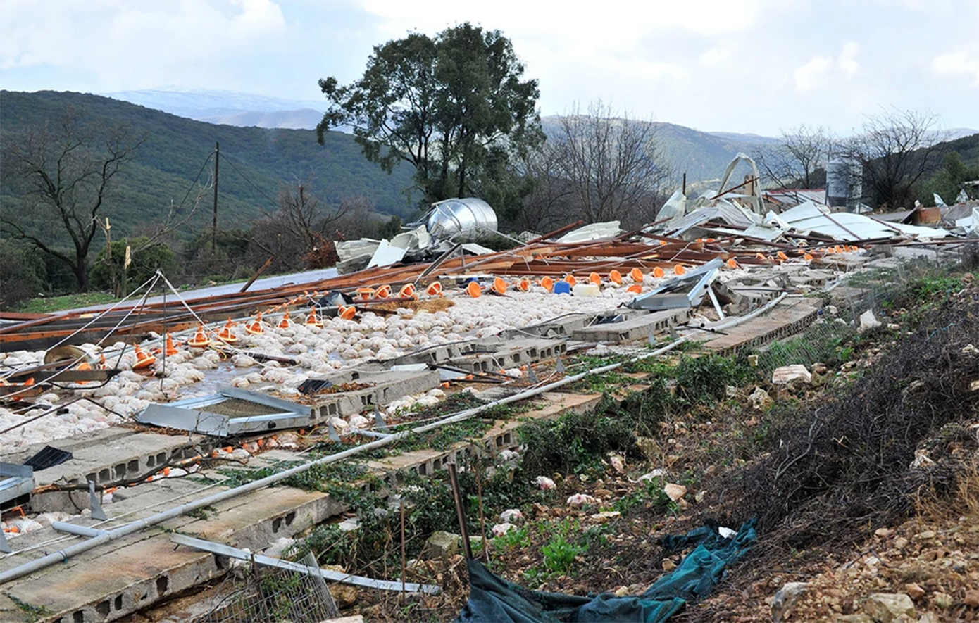 Ήπειρος – Πτηνοτροφείο: Κόποι 45 χρόνων και 40.000 κοτόπουλα καταστράφηκαν σε λεπτά – «Από αυτά επιβιώναμε»