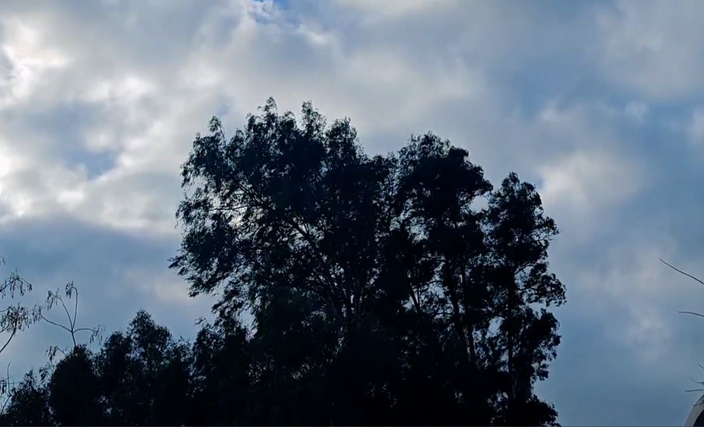 Παγωνιά: Στους -9°C έπεσε σήμερα η θερμοκρασία – Χιονοπτώσεις στα πεδινά και ισχυροί άνεμοι τη Δευτέρα