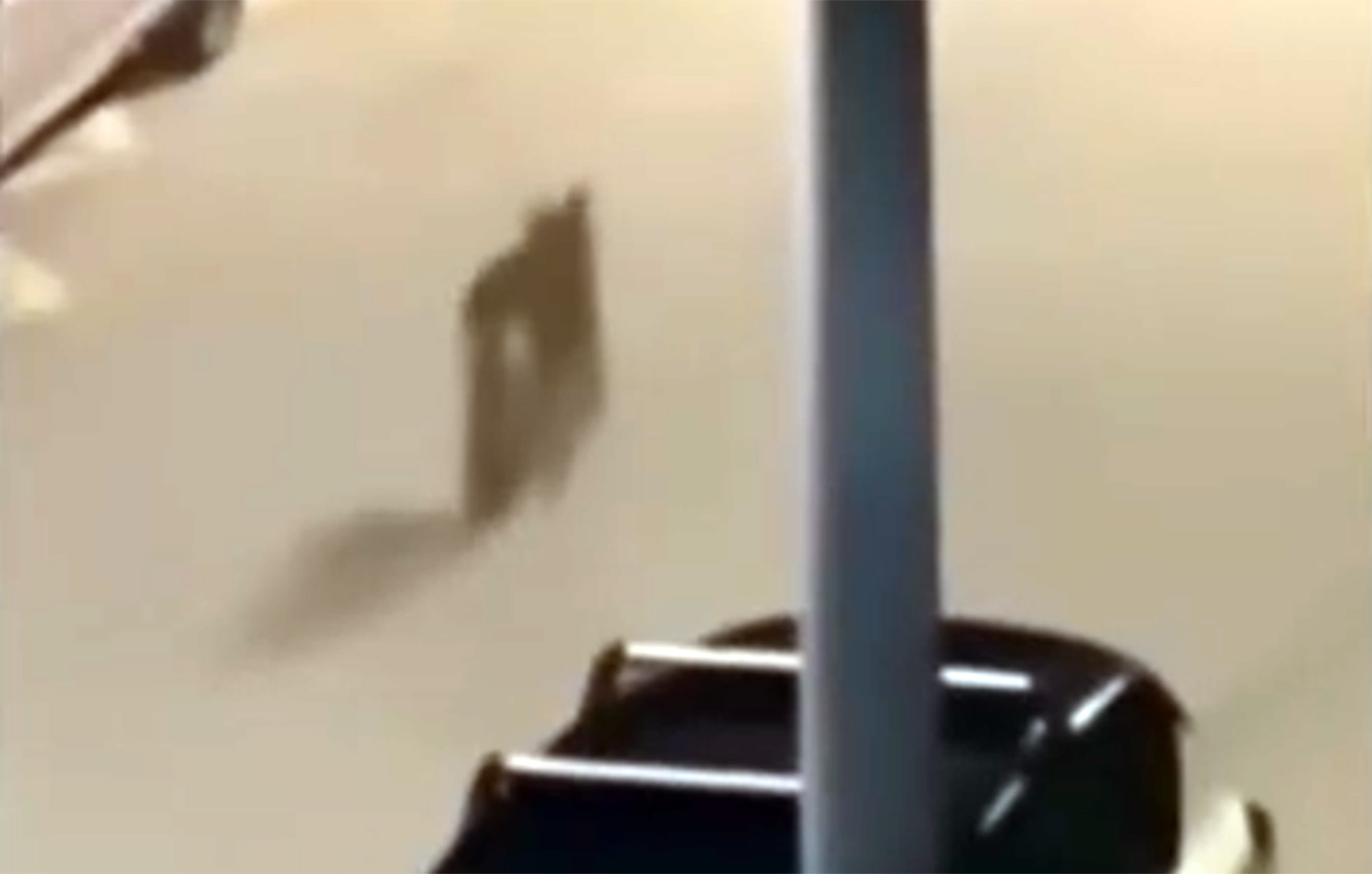 Συναγερμός στο Χαϊδάρι για τον λύκο που περιπλανιέται στους δρόμους – «Προσοχή στις βόλτες που κάνουν οι ιδιοκτήτες των σκύλων»