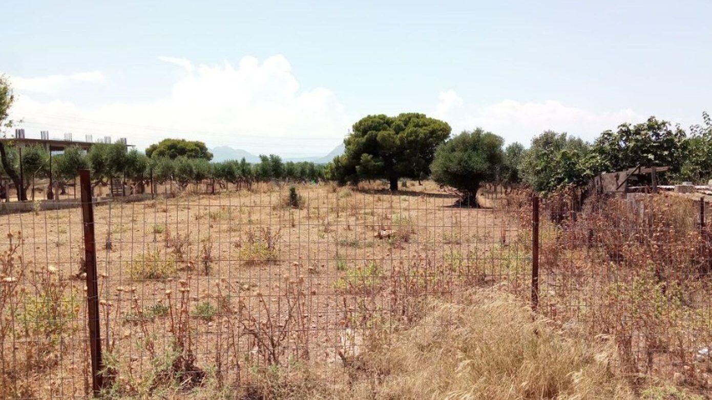 ΠΟΜΙΔΑ για ακαθάριστα οικόπεδα: Σε τι συναινεί, σε τι αντιτίθεται