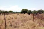 ΠΟΜΙΔΑ για ακαθάριστα οικόπεδα: Σε τι συναινεί, σε τι αντιτίθεται