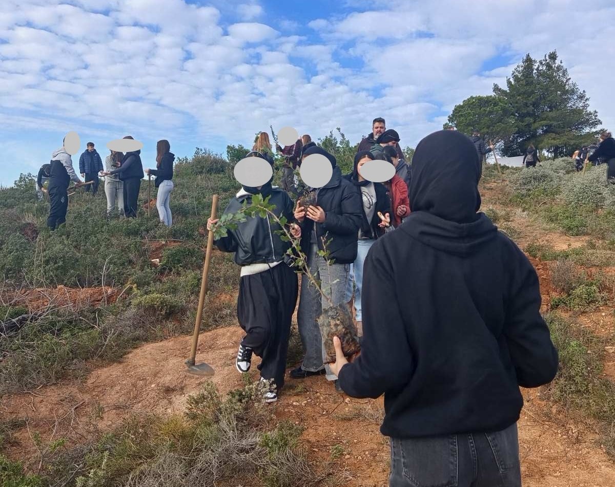 Η 1η μαθητική δενδροφύτευση του ΣΠΑΠ για το 2026 στο Πεντελικό Όρος στέφθηκε με επιτυχία