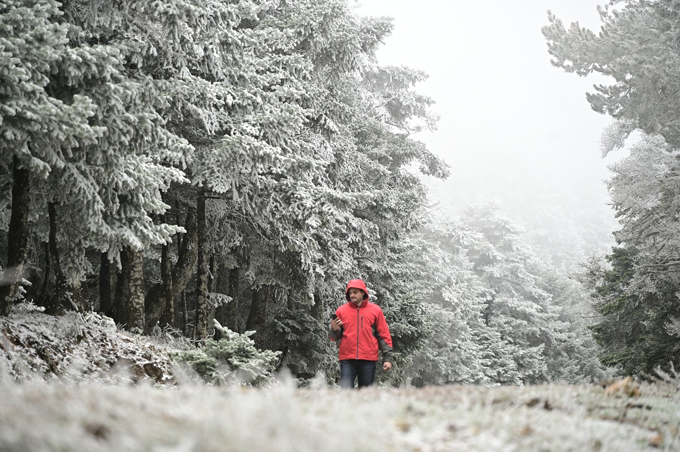 Ο καιρός αγριεύει από την Τρίτη: Δριμύ ψύχος και χιόνια – Ποιες περιοχές θα πλήξει, τι θα συμβεί στην Αττική