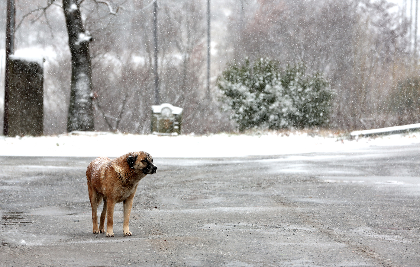Ενδεχόμενο χιονόπτωσης στα βόρεια προάστια της Αττικής τις προσεχείς ημέρες – Ανεβοκατεβαίνει η θερμοκρασία στην Αθήνα