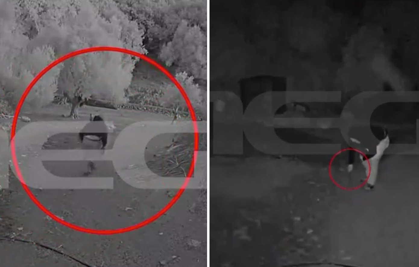 «Με θεώρησαν νεκρό, μου έκοψαν τη γλώσσα»: Συγκλονίζει ο κτηνοτρόφος από το Ρέθυμνο για την ενέδρα θανάτου