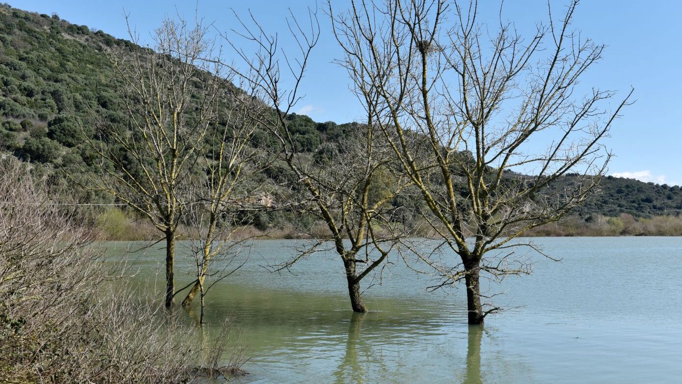 Συναγερμός στο Σουφλί λόγω θραύσης αναχώματος στην Κορνοφωλιά – Πλημμυρισμένα χιλιάδες στρέμματα