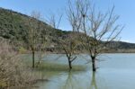 Συναγερμός στο Σουφλί λόγω θραύσης αναχώματος στην Κορνοφωλιά – Πλημμυρισμένα χιλιάδες στρέμματα
