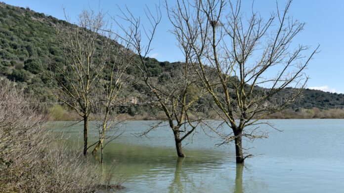 Συναγερμός στο Σουφλί λόγω θραύσης αναχώματος στην Κορνοφωλιά – Πλημμυρισμένα χιλιάδες στρέμματα