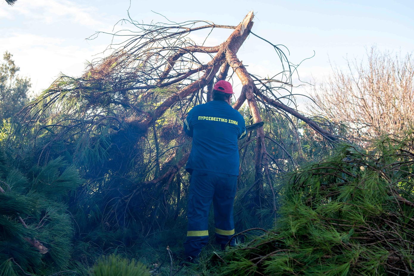 Κατάρρευση δέντρων στη διαδρομή του Οδοντωτού Σιδηροδρόμου Διακοπτού-Καλαβρύτων – Ποια δρομολόγια ακυρώνονται