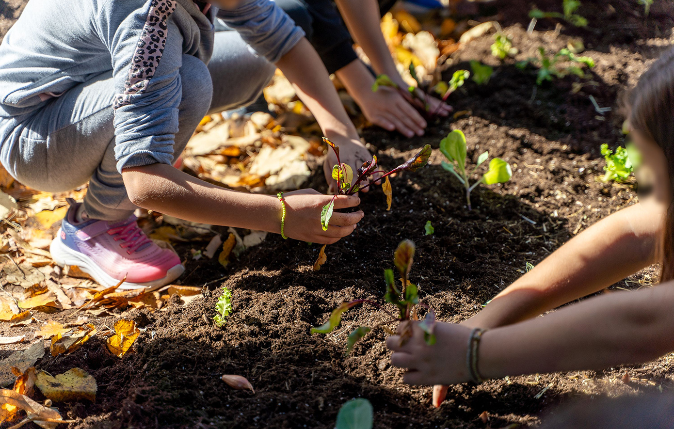 ΔΕΗ και Open Farm προωθούν τη βιώσιμη γεωργία στους μαθητές