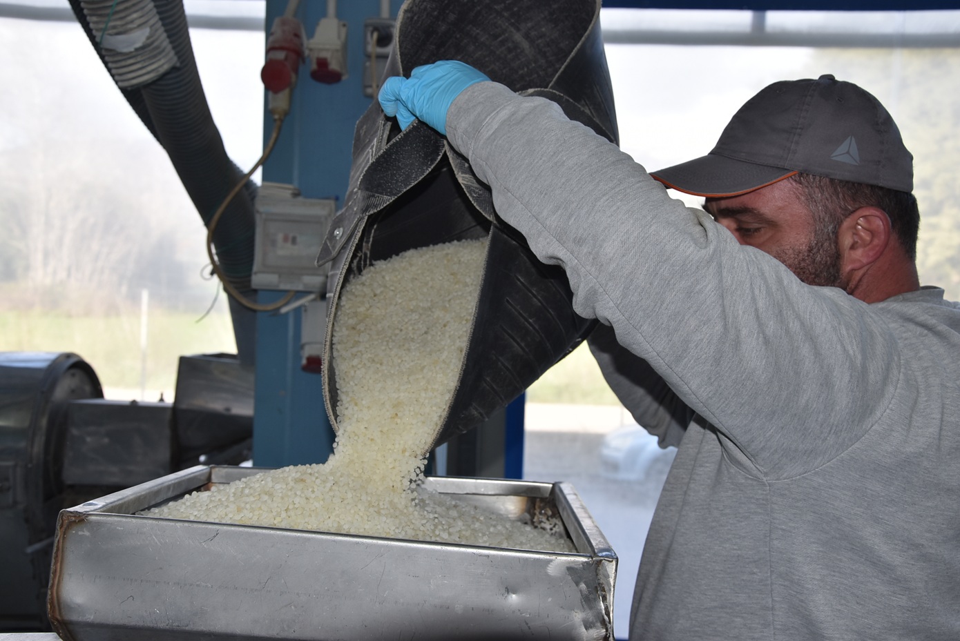 Η μαστίχα Χίου «ενισχύει» την οικονομία: Πάνω από 20 εκατ. ευρώ στους καλλιεργητές έως τον Μάιο