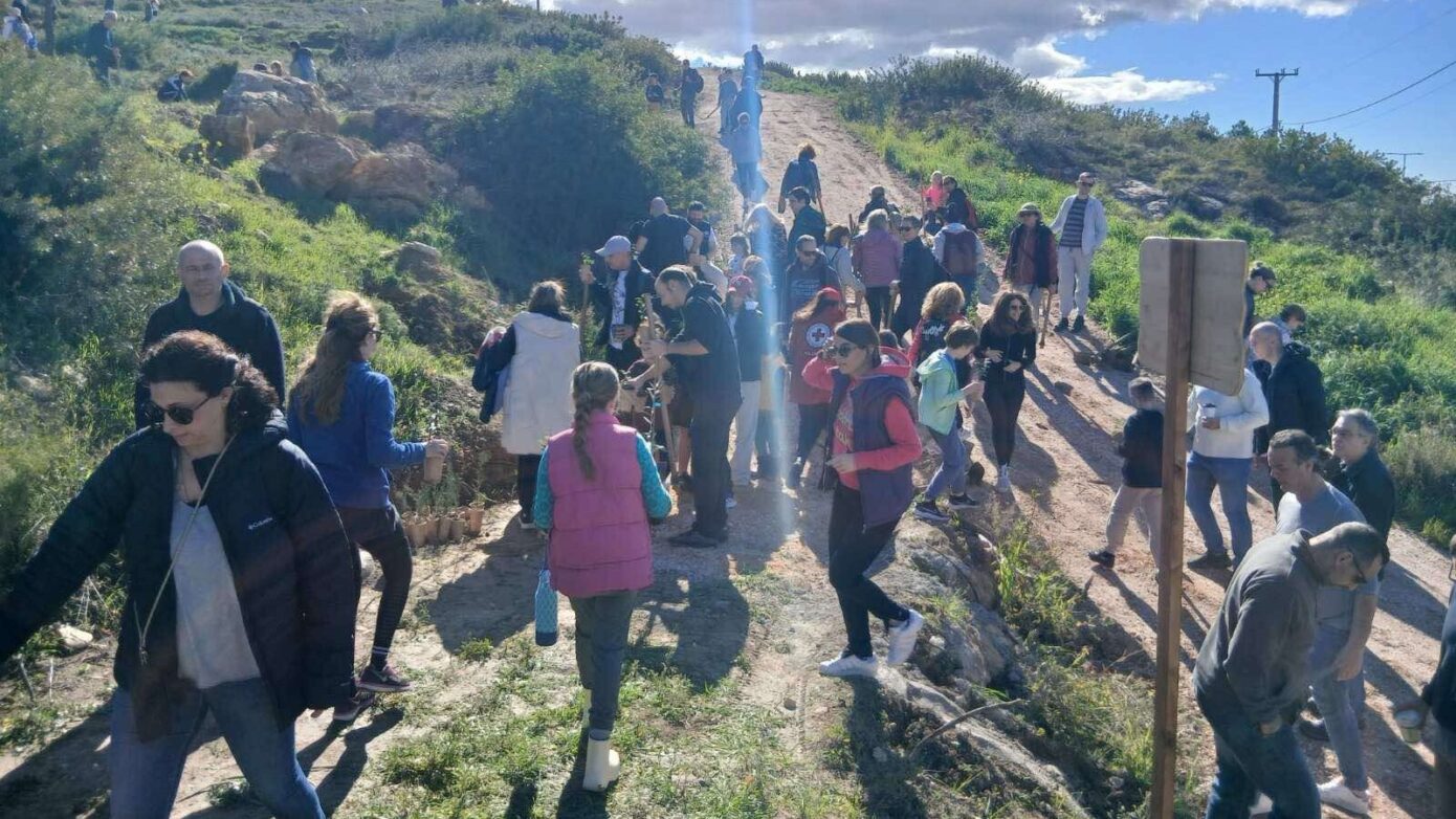 Περισσότερα από 1.000 δέντρα φυτεύτηκαν στο Πανόραμα Παλλήνης