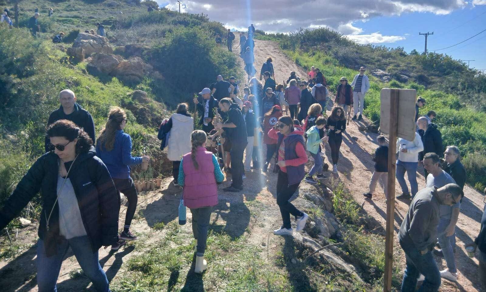 Περισσότερα από 1.000 δέντρα φυτεύτηκαν στο Πανόραμα Παλλήνης