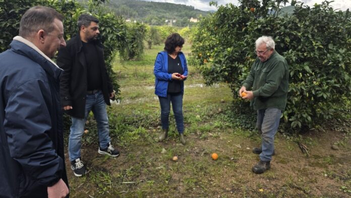 Παρακολούθηση και αξιολόγηση ζημιών από τον ΕΛΓΑ στη Δ.Ε. Αρχαίας Ολυμπίας