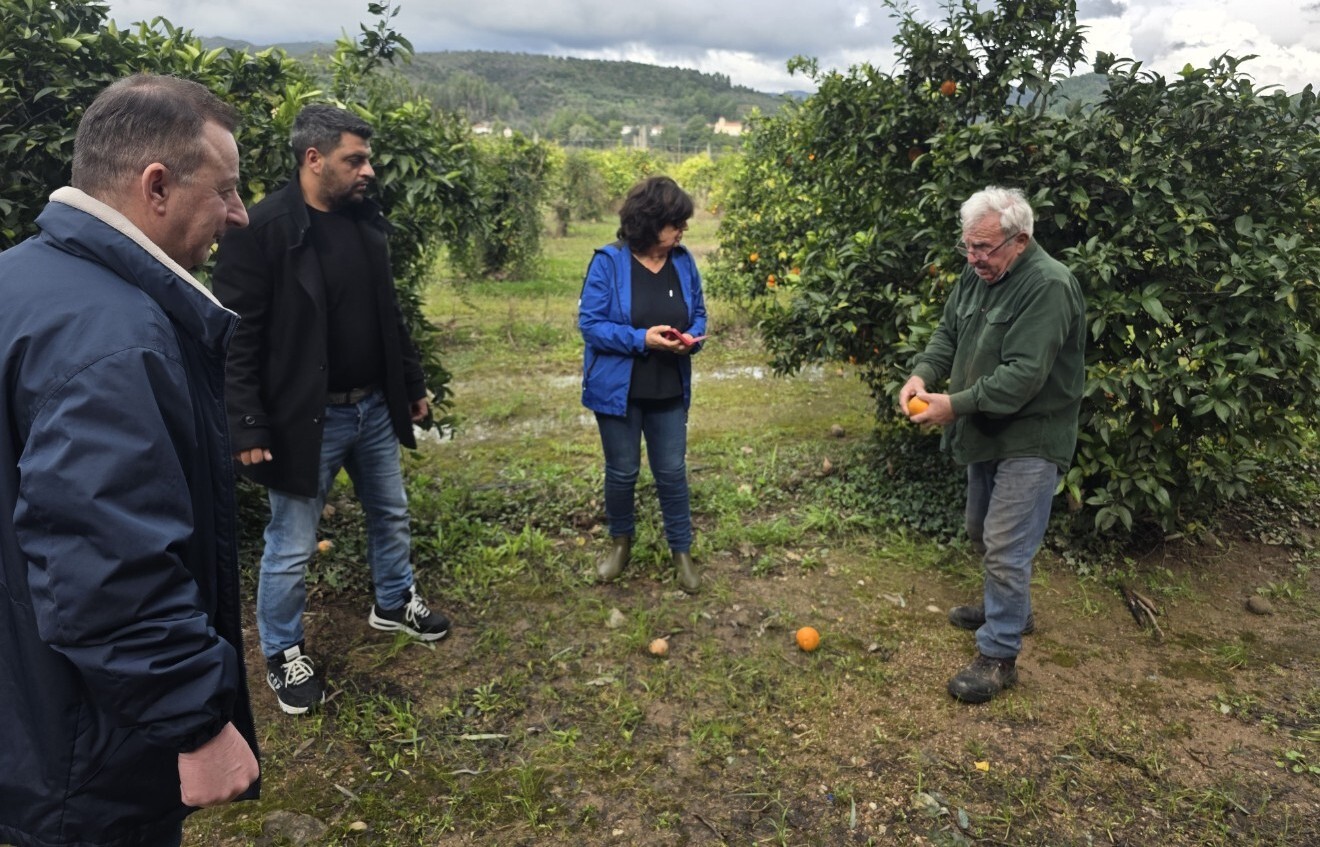 Παρακολούθηση και αξιολόγηση ζημιών από τον ΕΛΓΑ στη Δ.Ε. Αρχαίας Ολυμπίας