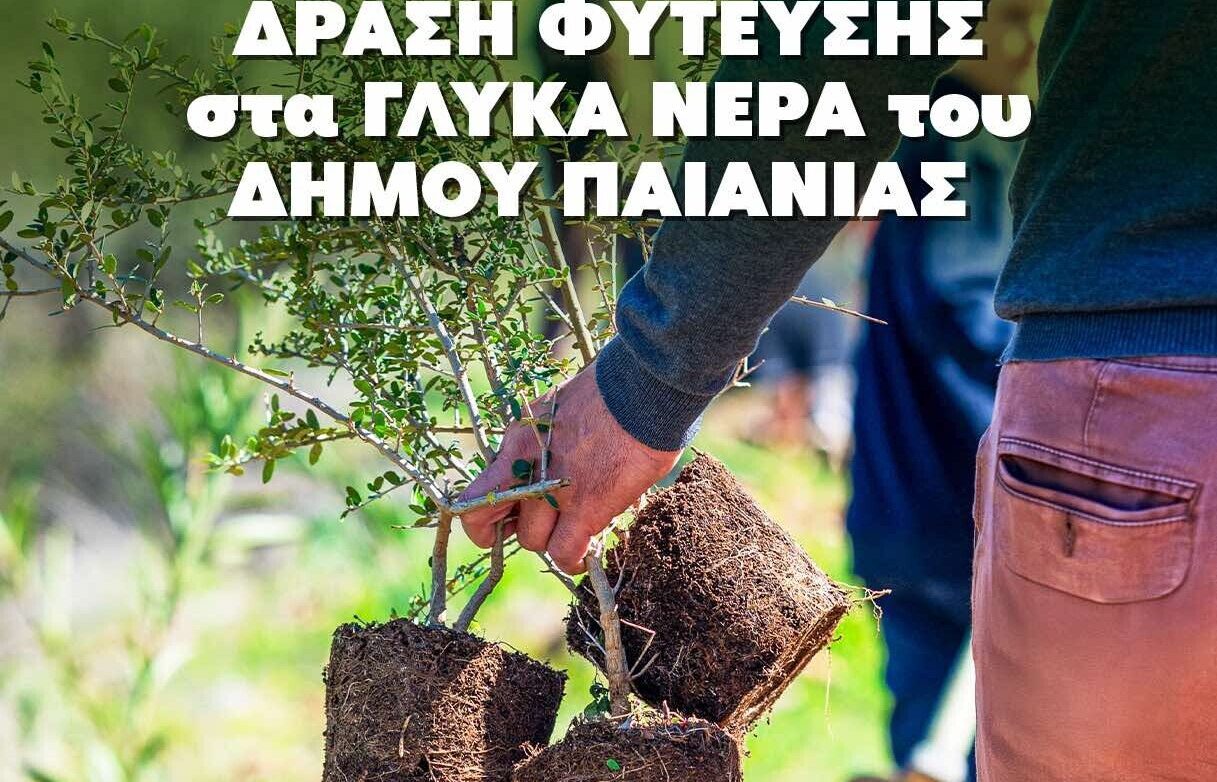 Δήμος Παιανίας και ΣΠΑΥ σε φρέσκια πρωτοβουλία δενδροφύτευσης