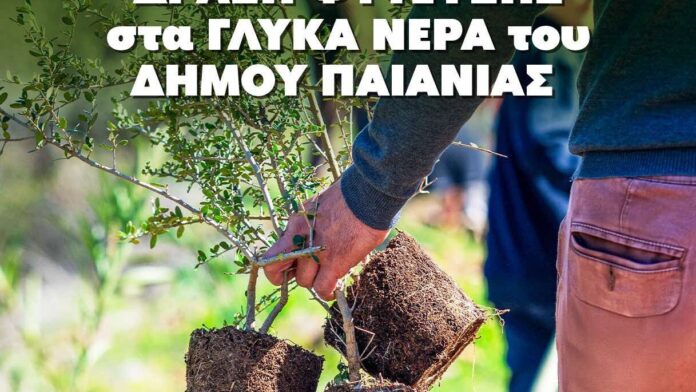 Δήμος Παιανίας και ΣΠΑΥ σε φρέσκια πρωτοβουλία δενδροφύτευσης