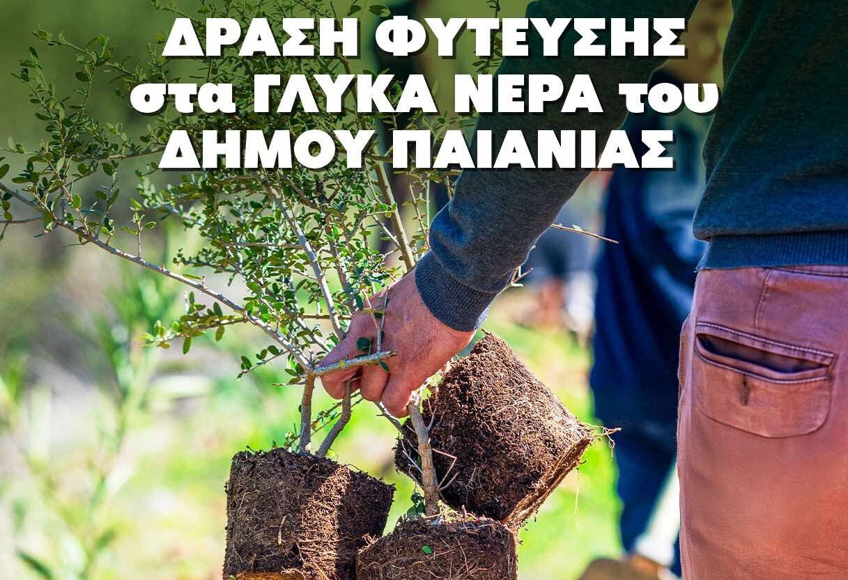 Δήμος Παιανίας και ΣΠΑΥ σε φρέσκια πρωτοβουλία δενδροφύτευσης