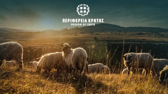 Περιφέρεια Αττικής: Ενισχύονται τα προληπτικά μέτρα για την ευλογιά των αιγοπροβάτων στην Κρήτη