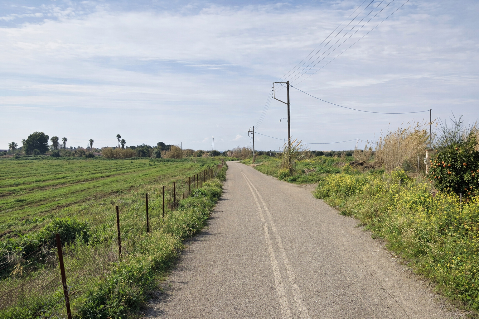 Δ.Πύργου: Εντάχθηκε στο ΠΕΠ Δ.Ελλάδας το έργο «Καλακαίικα – Αγ.Ηλίας» με 2.2 εκατ. €