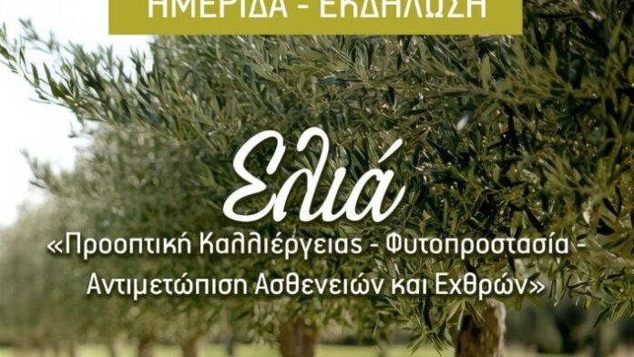 Εκδήλωση του Δήμου Πύργου αφιερωμένη στην Ελιά