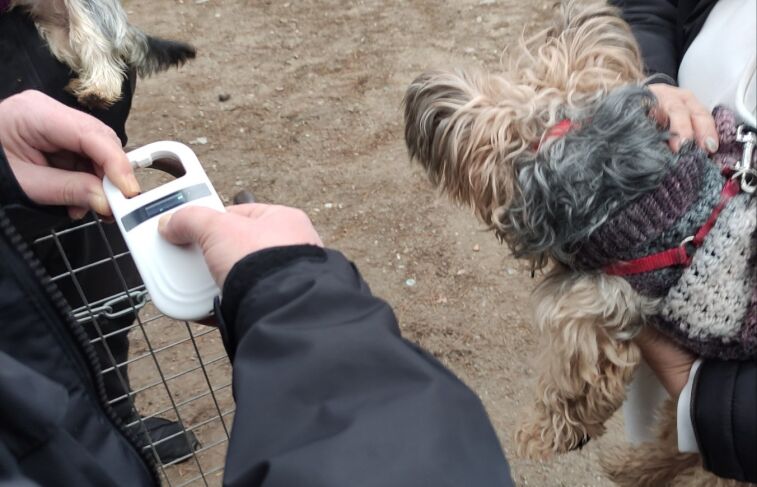 Δ.Κατερίνης: Έλεγχοι σε δεσποζόμενα ζώα συντροφιάς από τη Δημοτική Αστυνομία