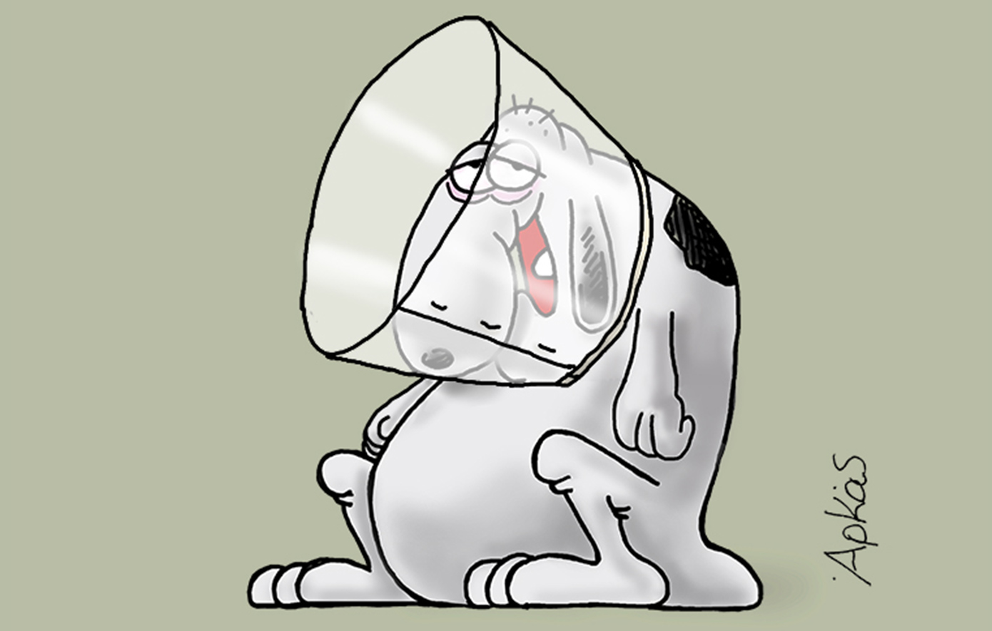 Αρκάς: Τελικά αποδεχόμαστε αυτά που μας επιβάλουν ως «σωστά»;