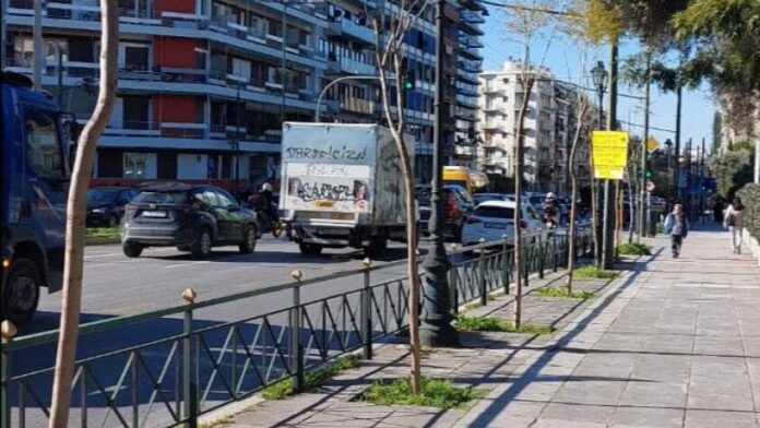 Ο Δήμος Αθηναίων φυτεύει 90 δέντρα στη Λεωφόρο Β. Κωνσταντίνου