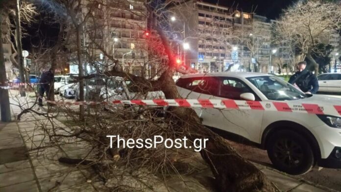 Ο Βαρδάρης πλήττει τη Θεσσαλονίκη – Πολλές κλήσεις στην Πυροσβεστική και αναστάτωση στις συγκοινωνίες – Αγγίζουν τα 9 μποφόρ οι άνεμοι