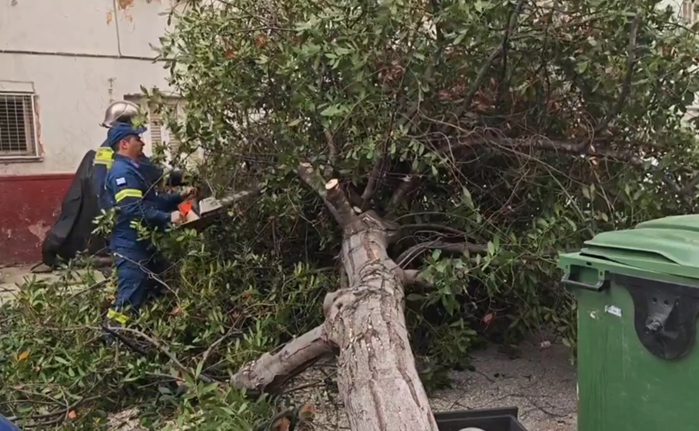 Καταρρεύσεις δέντρων εξαιτίας ισχυρών ανέμων στην Αττική