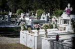 Ξεκινά η εκταφή και επανενταφιασμός των 150 θυμάτων Covid στην Καβάλα – Η αποσύνθεσή τους δεν έχει ολοκληρωθεί
