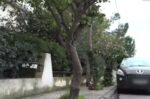 Τα σπαρακτικά λόγια της 44χρονης που σκότωσε τη μητέρα της παρκάροντας και ο τρόμος των τριών παιδιών – «Μαμά μου, άνοιξε τα μάτια σου»