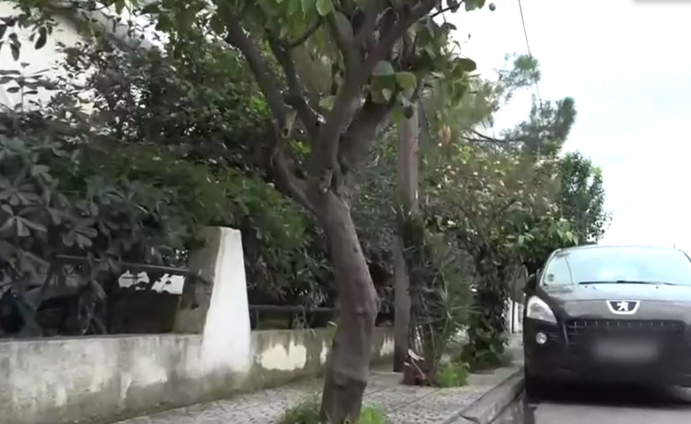 Τραγωδία στην Ελευσίνα: «Υπήρχε ένα δέντρο με ένα εξόγκωμα που προκάλεσε στην πεθερά μου ακατάσχετη αιμορραγία»