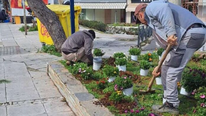 Εκτεταμένες δενδροφυτεύσεις στον Δήμο Λυκόβρυσης-Πεύκης