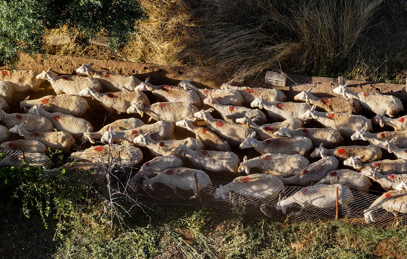 Συμπληρωματικό πόρισμα από την Αρχή για το Ξέπλυμα για τον γνωστό συνδικαλιστή της Κρήτης, Μ. Χιλετζάκη – «Τρύπα» 10,5 εκατ. ευρώ