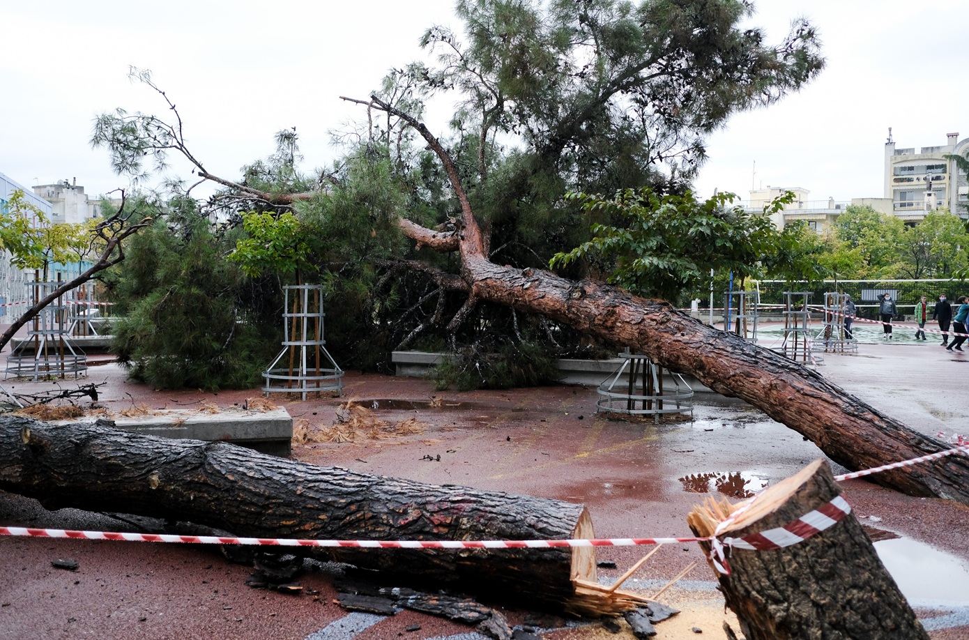 Ισχυροί άνεμοι σαρώνουν τη Θεσσαλονίκη – Δυσκολίες στην κυκλοφορία λόγω πτώσεων δέντρων