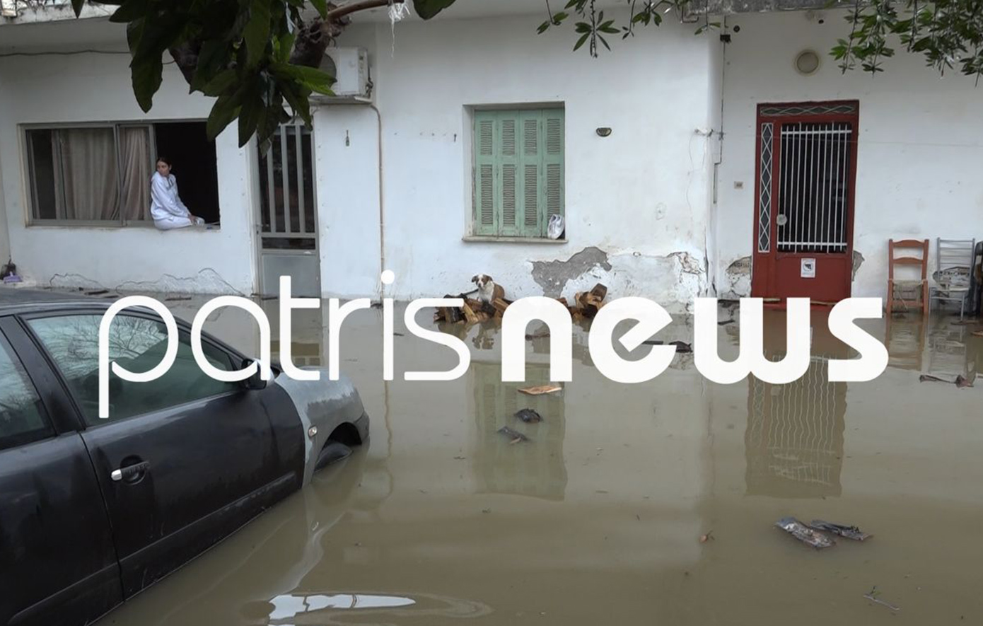 Καταστροφική καταιγίδα στον Πύργο Ηλείας: Δρόμοι πλημμύρισαν, οικογένεια παγιδεύτηκε στο σπίτι, νεκρά ζώα