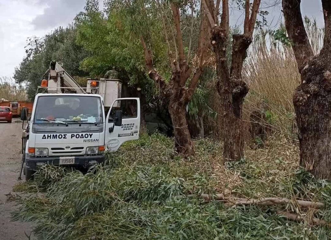 Δ. Ρόδου: Εφαρμόζει το πιο εκτεταμένο πρόγραμμα κλαδεμάτων των τελευταίων χρόνων