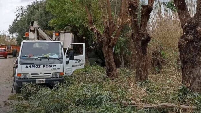 Δ. Ρόδου: Εφαρμόζει το πιο εκτεταμένο πρόγραμμα κλαδεμάτων των τελευταίων χρόνων