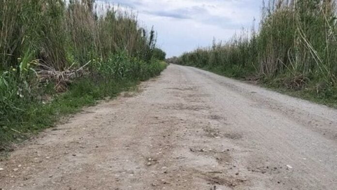 Σημαντικά ζητήματα στο οδικό δίκτυο του Δήμου Τυρνάβου λόγω κακοκαιρίας