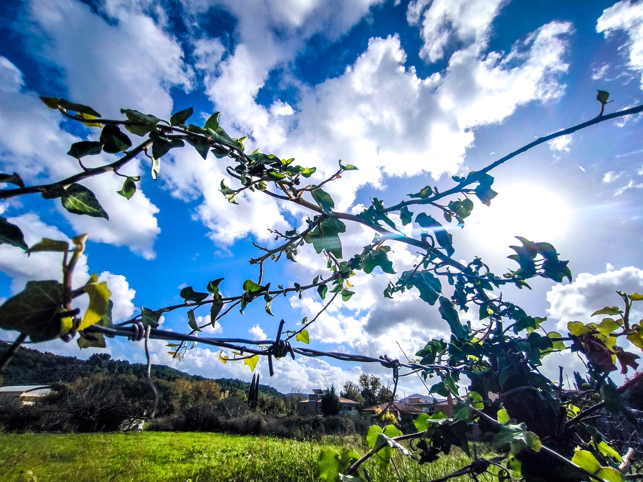 Ηλιόλουστος σχεδόν παντού ο καιρός – Τι θα δείξουν τα θερμόμετρα