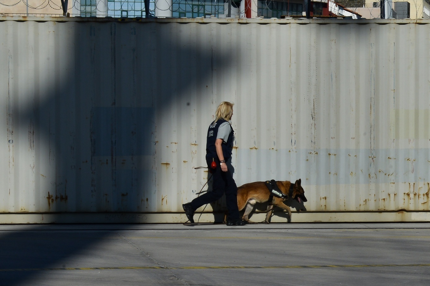 “Η ΑΑΔΕ ξεσκέπασε διεθνές κύκλωμα λαθρεμπορίας τσιγάρων – Συλλήψεις σε Ελλάδα και εξωτερικό”