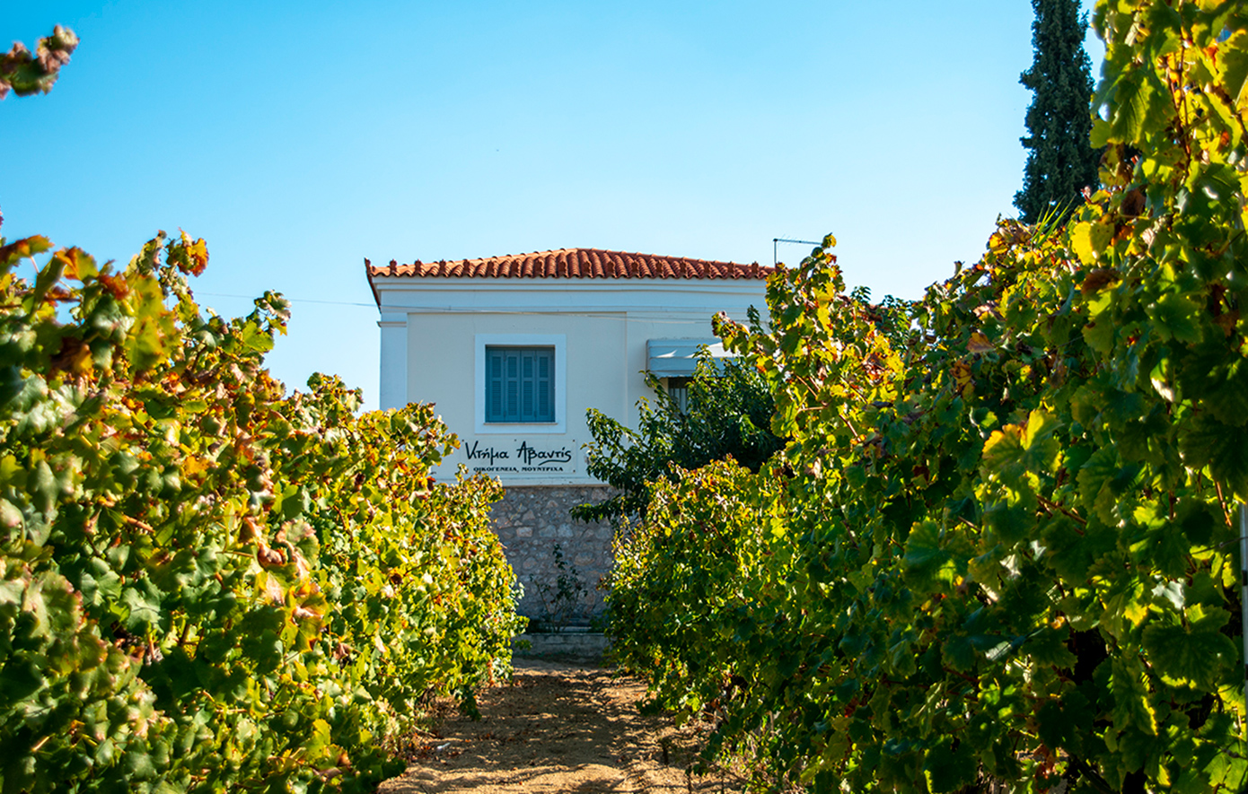 Το Κτήμα Αβαντίς προστίθεται στη συλλογή Oenothèque της ΑΜΒΥΞ