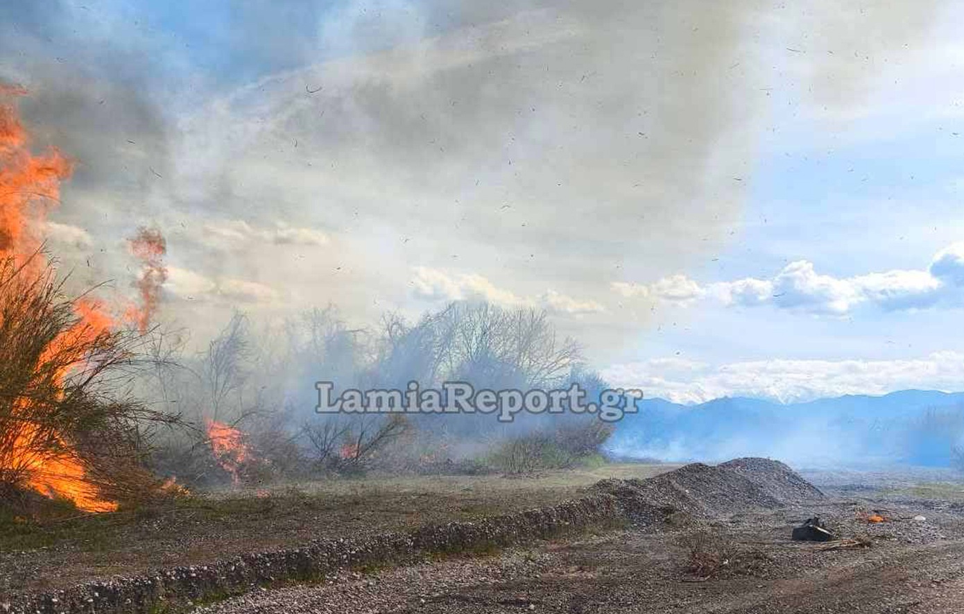 Πριν καλά-καλά ζεστάνει, ξεκίνησαν οι πυρκαγιές: Καταιγισμός διάσπαρτων εστιών φωτιάς πλήττει σήμερα τη Λαμία