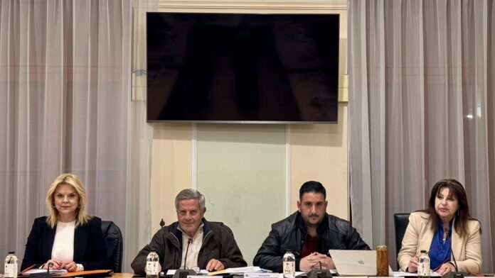 Κατά πλειοψηφία πέρασε το Τεχνικό Σχέδιο 2026 του Δήμου Χαλκιδέων